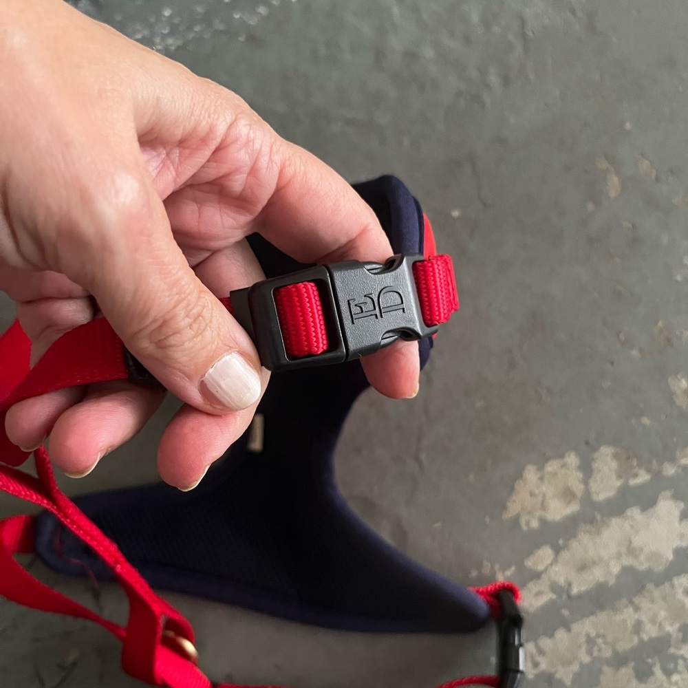 Small dog harness - Picture 5 of 10